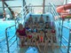 sp1 kielce